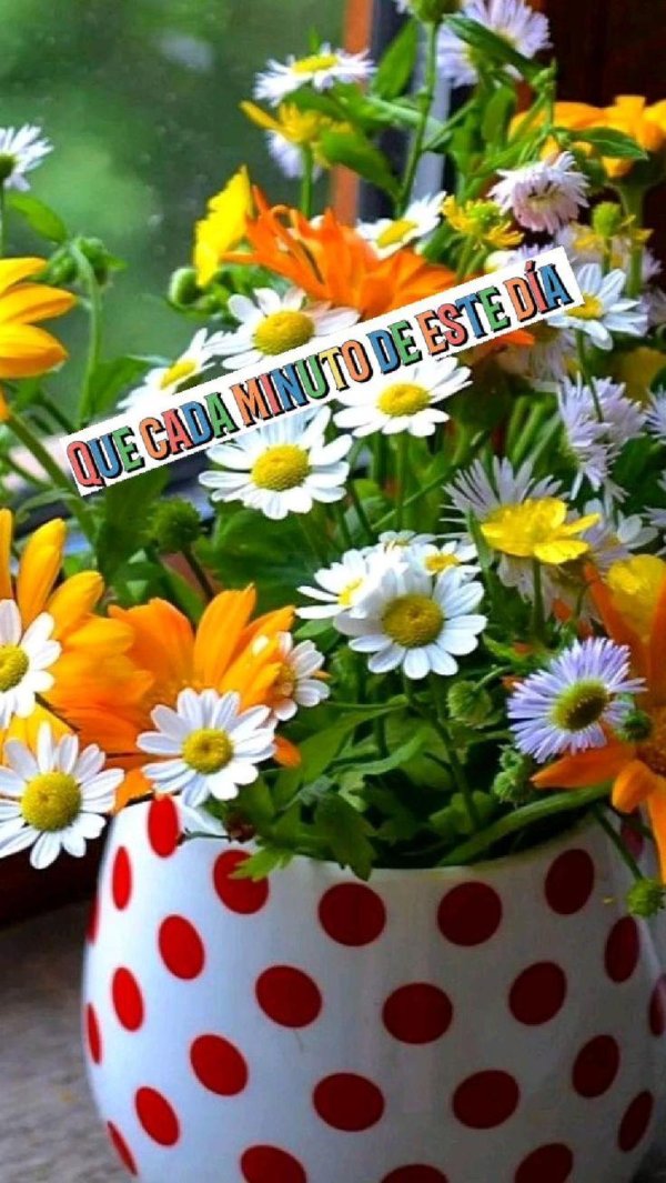 цветочное утро