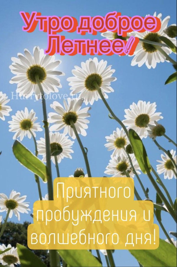 доброе летнее утро пожелания