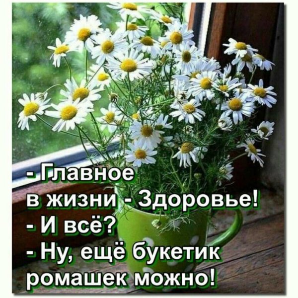 букет ромашек