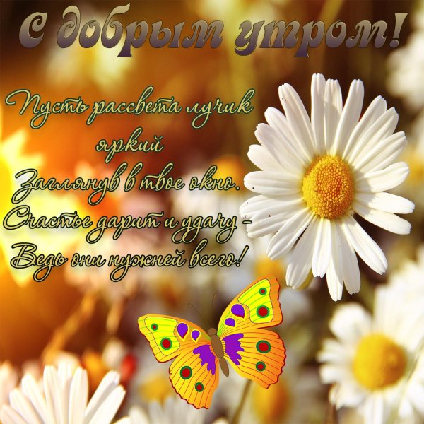 с добрым летнем утром