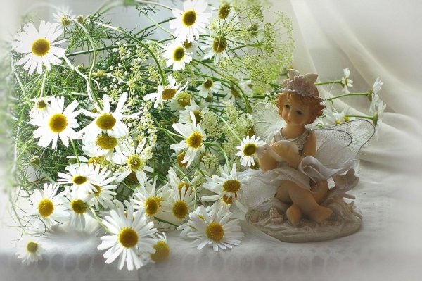 ромашек букет