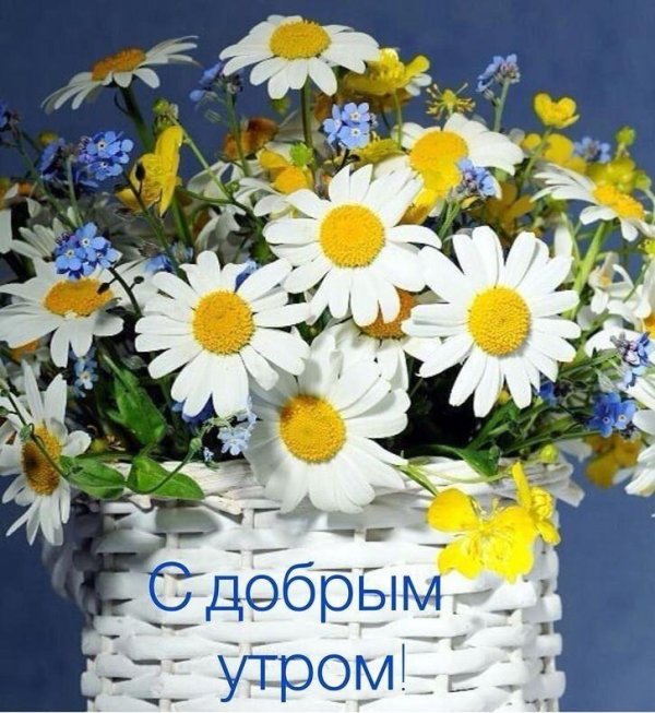 букет ромашек