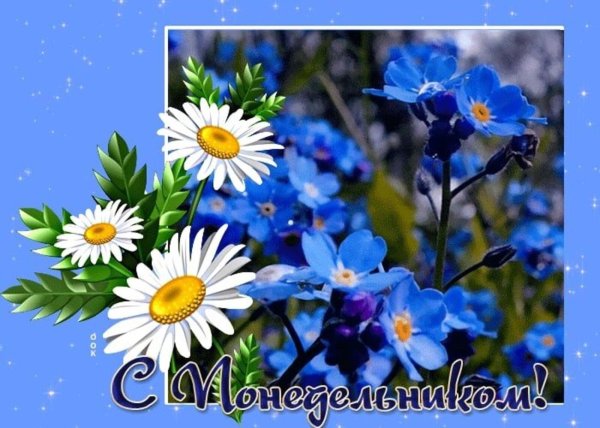 доброе утро понедельника красивые