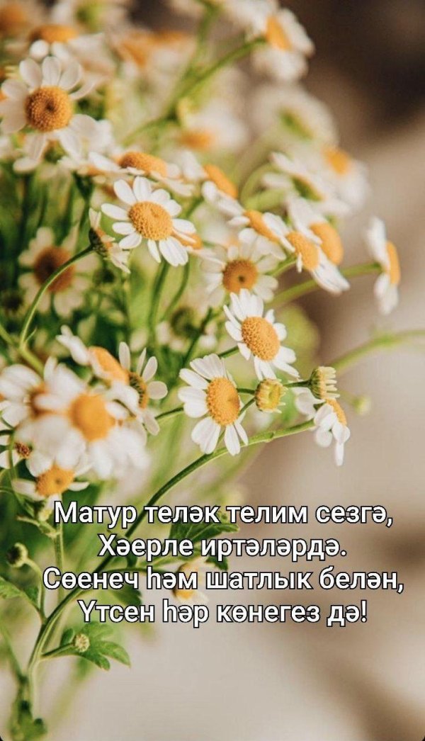 гаилэ коне белэн