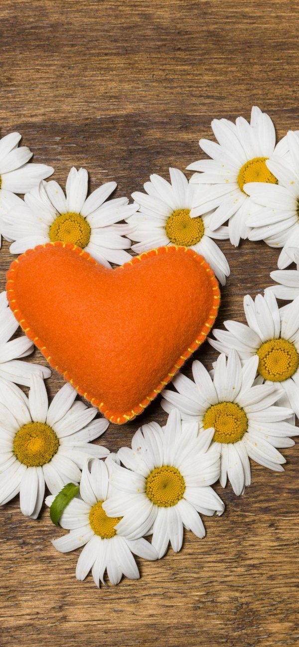 цветок сердце