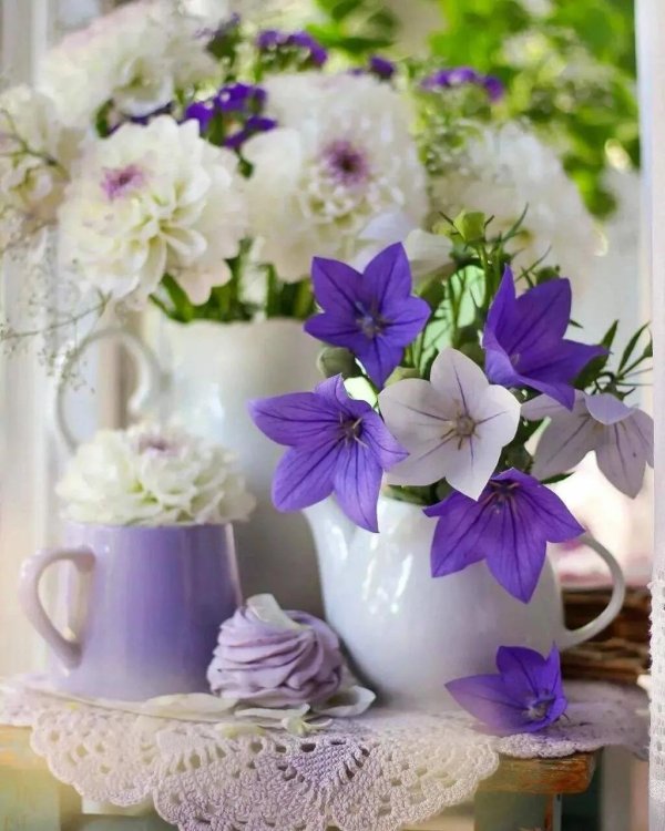 доброго утра и хорошего дня цветы