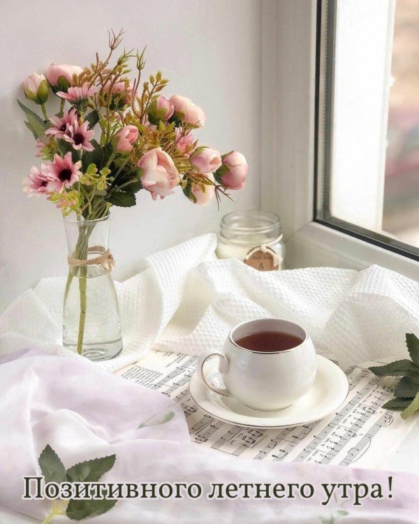 нежного летнего утра