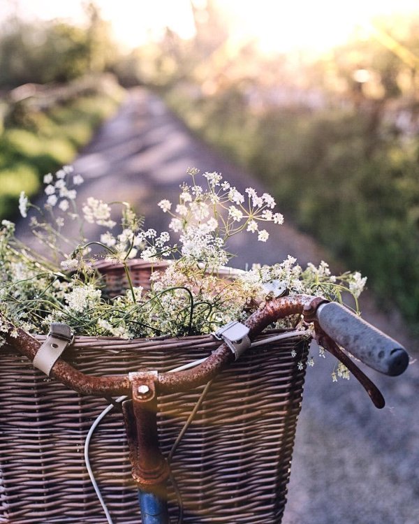 велосипед в поле