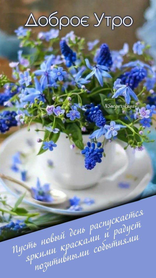 доброе утро незабудки