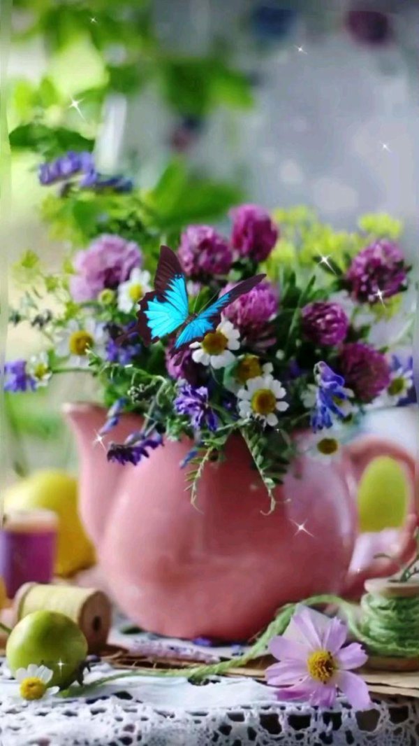 летние утренние цветы