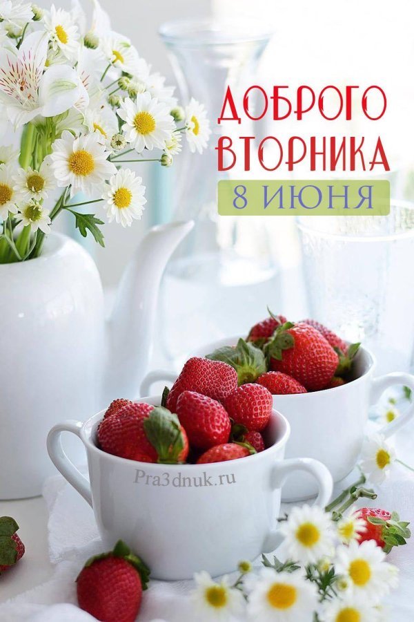 утро лето доброе