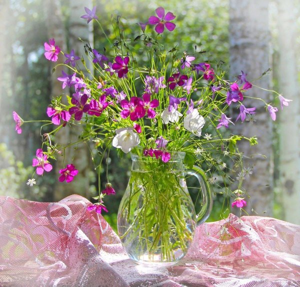 хайнц шольнхаммер летний букет