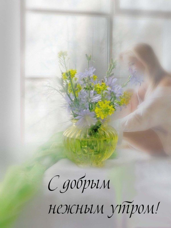 нежный цветок