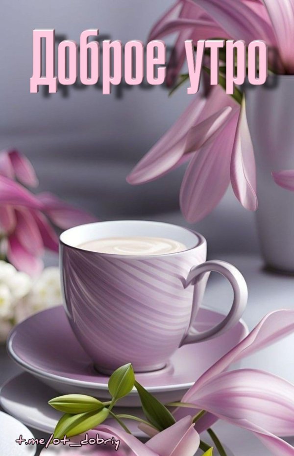 добра утра
