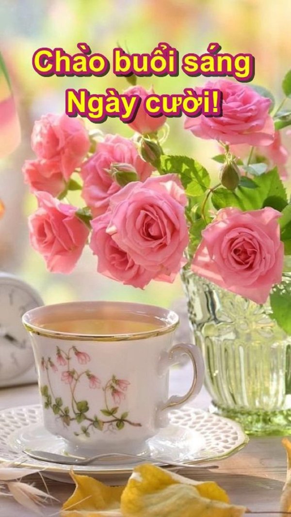 доброго утра с розами