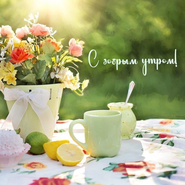 летнего утра