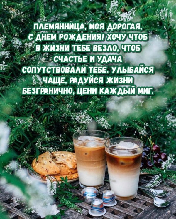 поздравление на день рождения племяннице