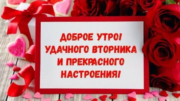 вторника доброго