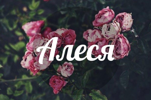 имена алеся
