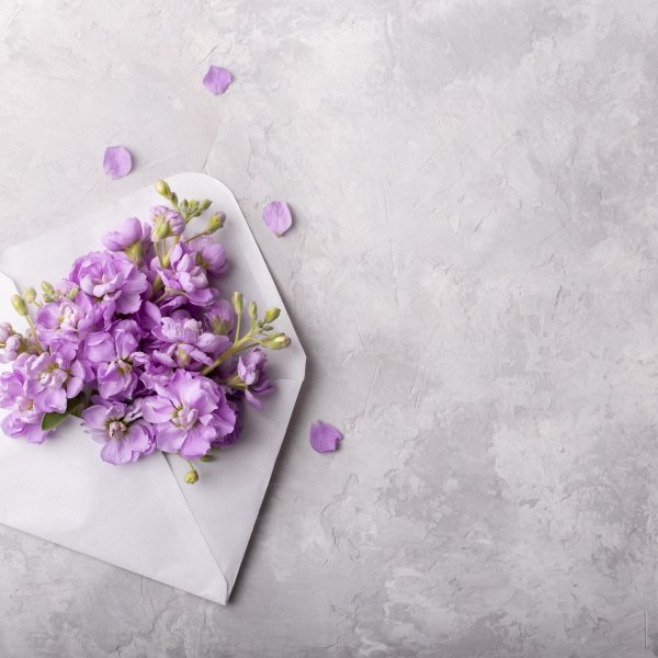 цветочные фоны