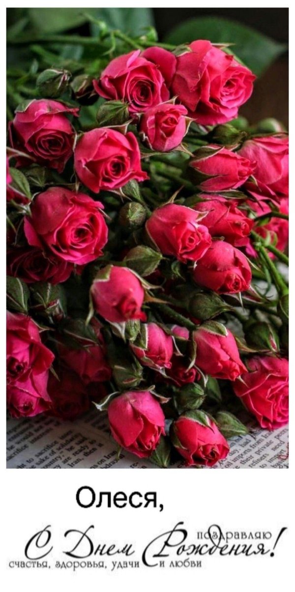поздравляю розы