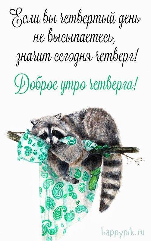 утро четверг