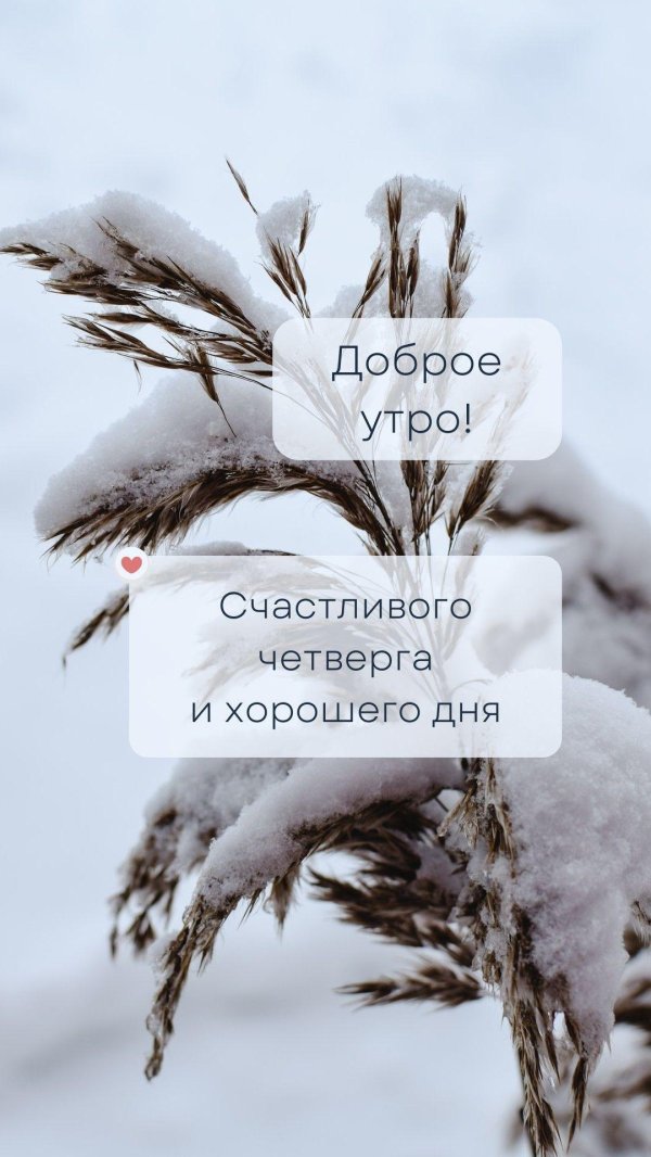 четверг доброе утро и хорошего дня