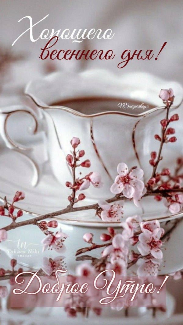 добрейшего весеннего утра