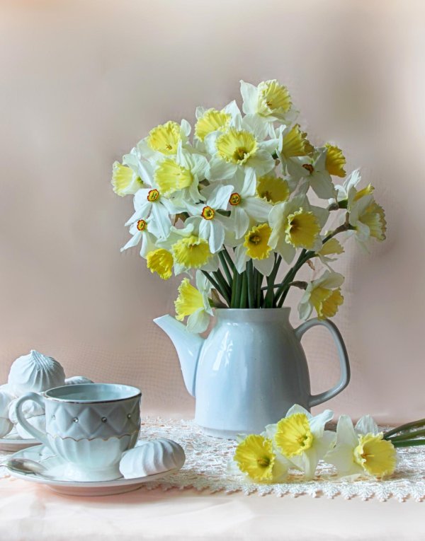 натюрморт с нарциссами