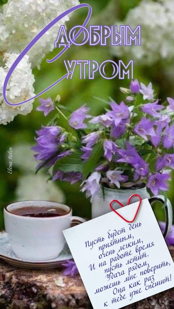 прекрасного утра