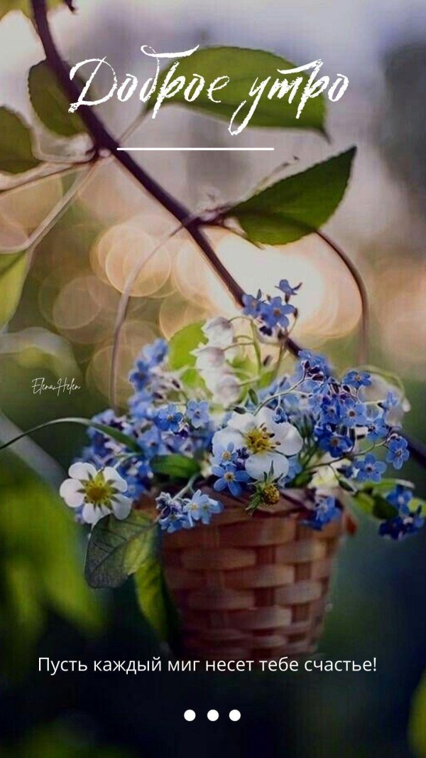 доброе утро незабудки