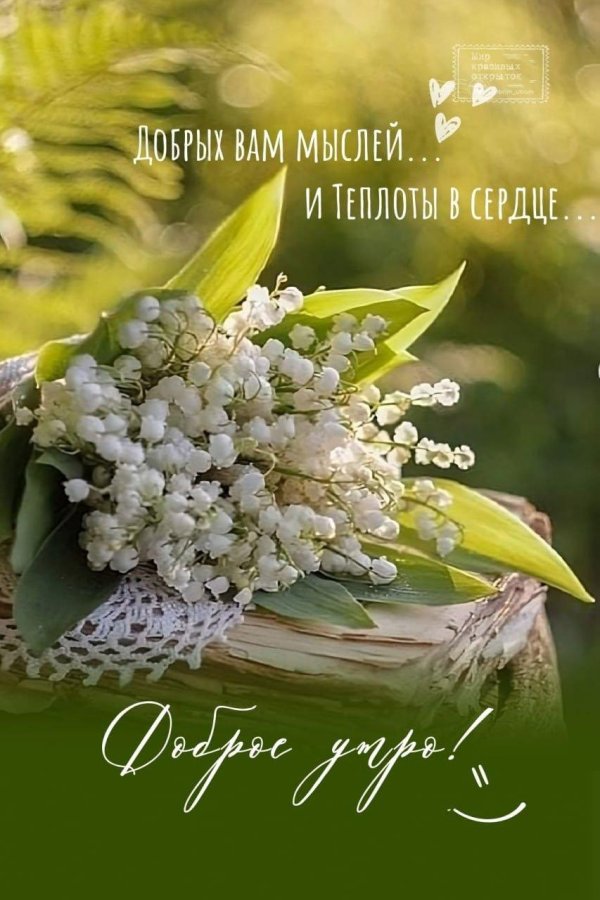 доброго утра весна