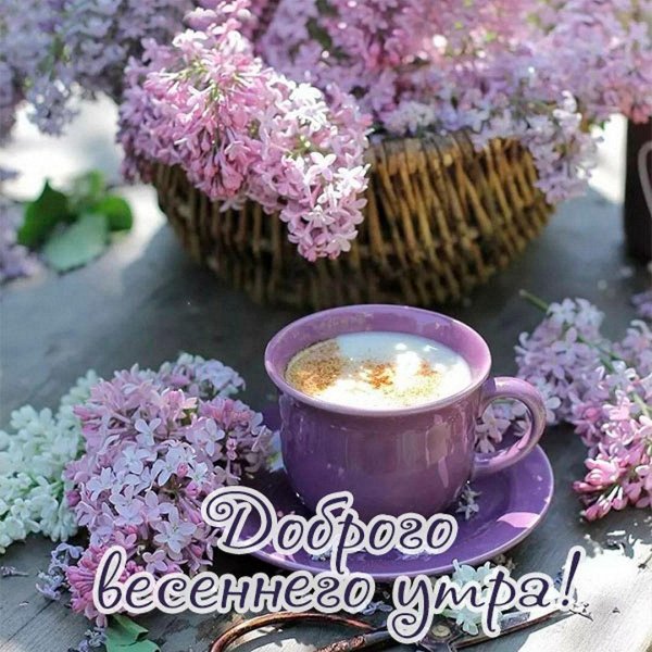 добра утра