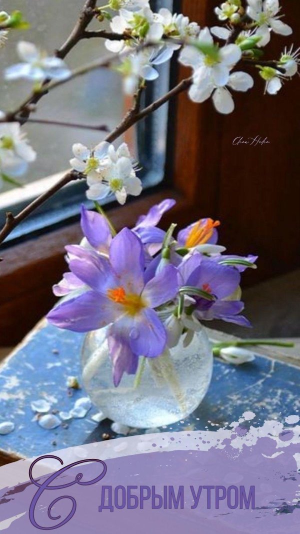 добрейшего весеннего утра