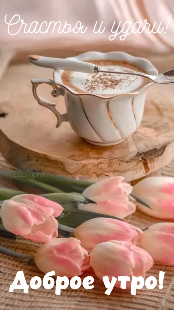светлого утра
