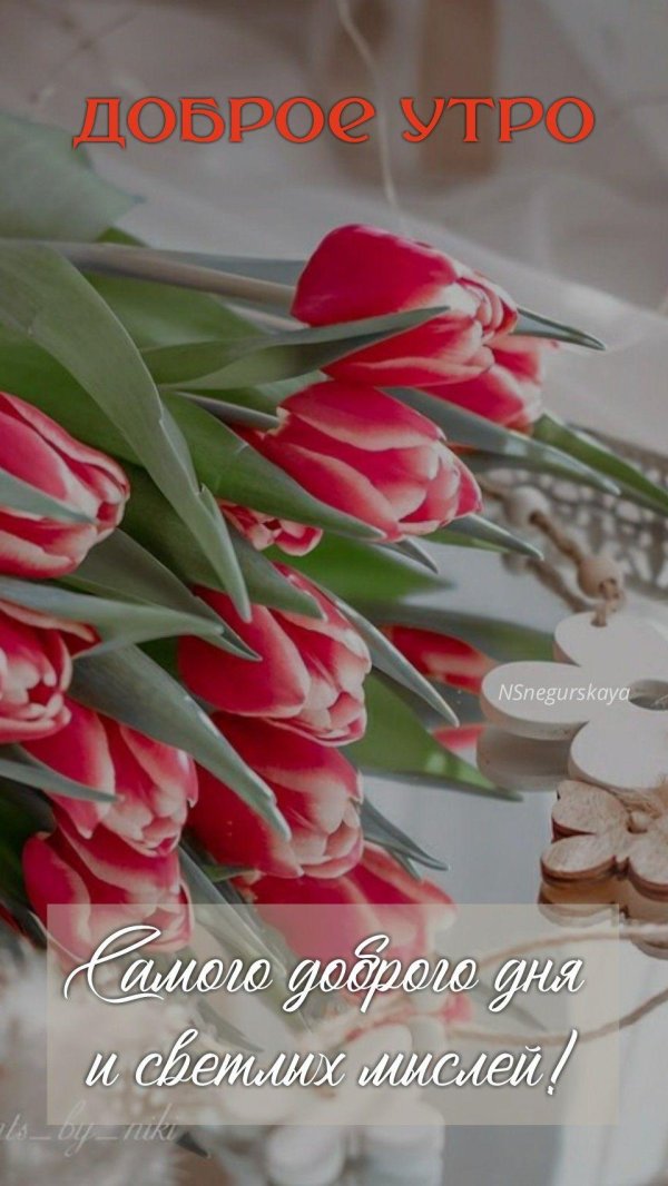 добра утра