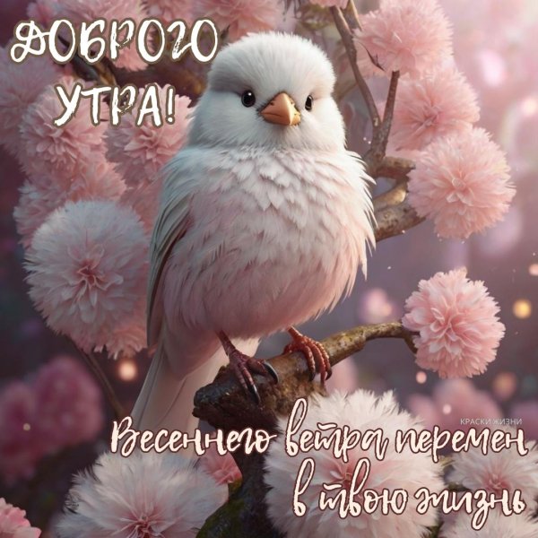 доброе утро красивые весенние