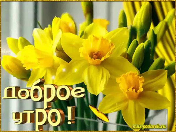 Весенние с цветами и пожеланиями доброго утра
