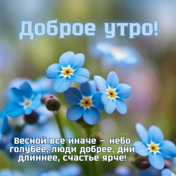 доброго утра весна