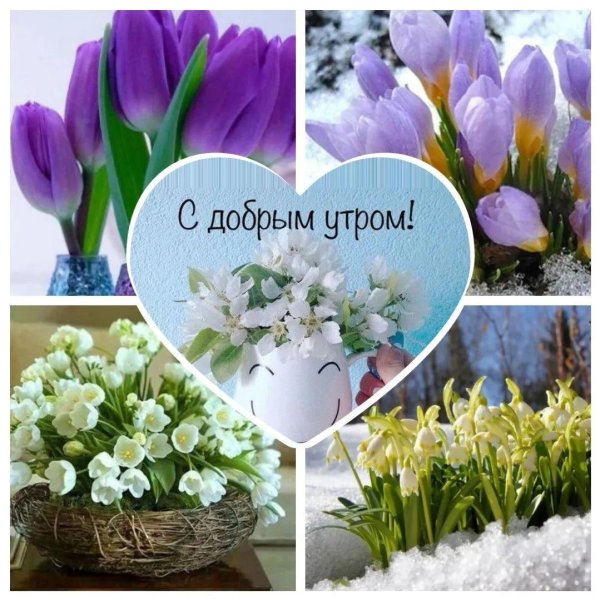 с добрым весеннем утром