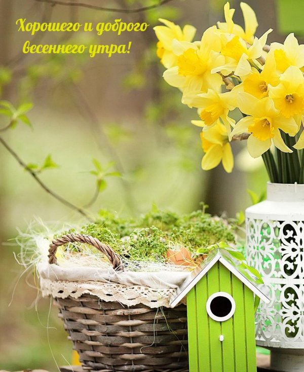 добрейшего весеннего утра