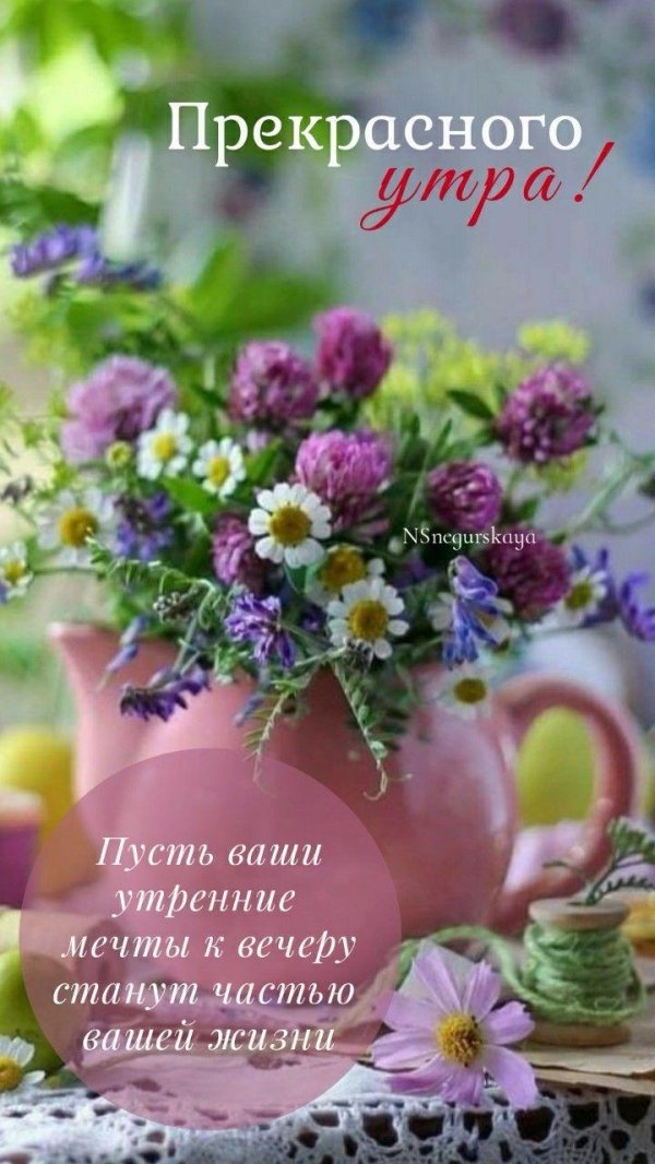 летние утренние цветы