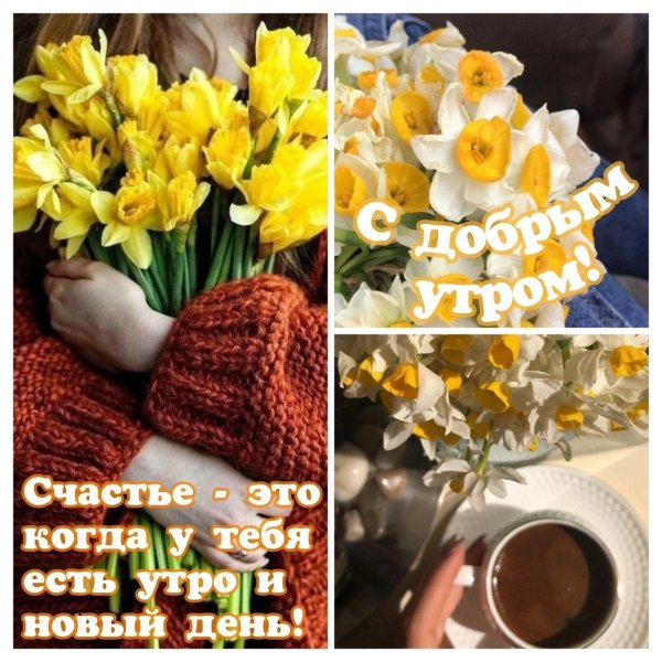 доброе утро 28 февраля