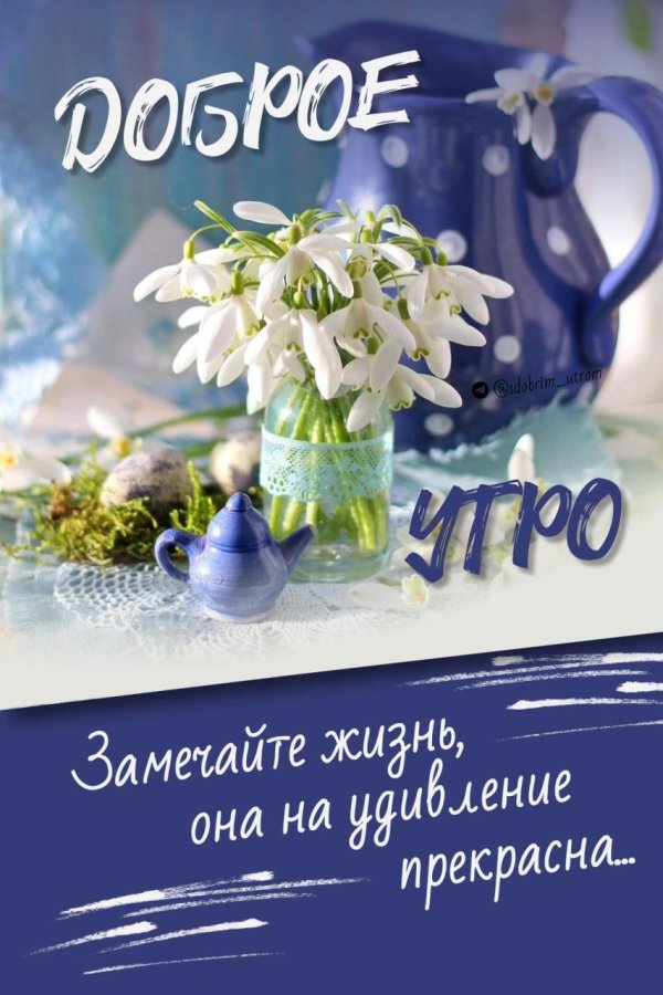 добрейшего весеннего утра