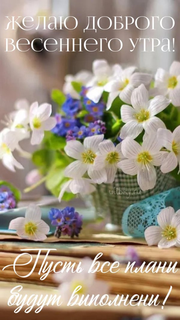 добрейшего весеннего утра