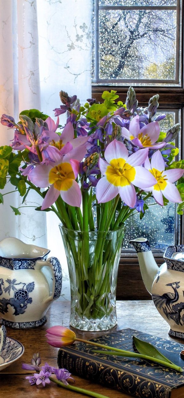 с добрым мартовским утром и хорошего дня