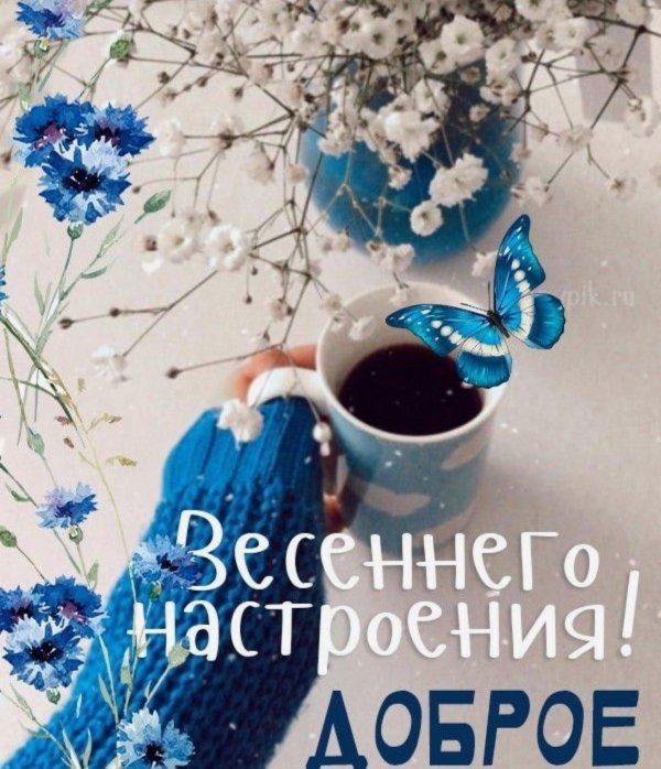 добрейшего весеннего утра