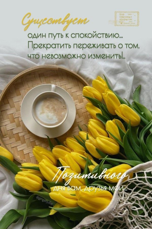 открытка с добрым утром весенние