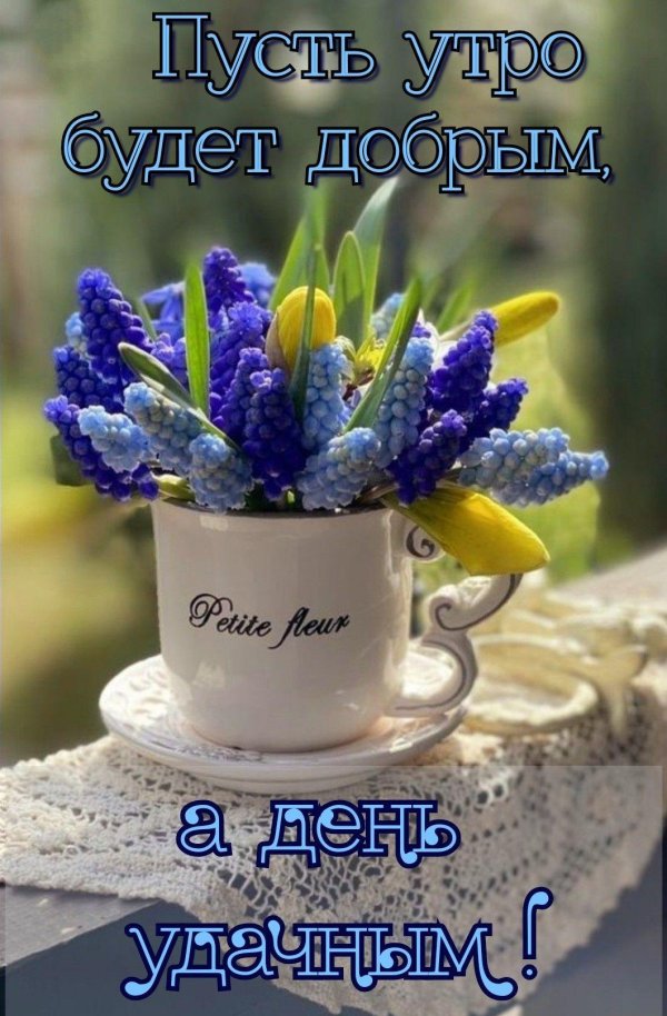 доброе утро счастливого дня ноября