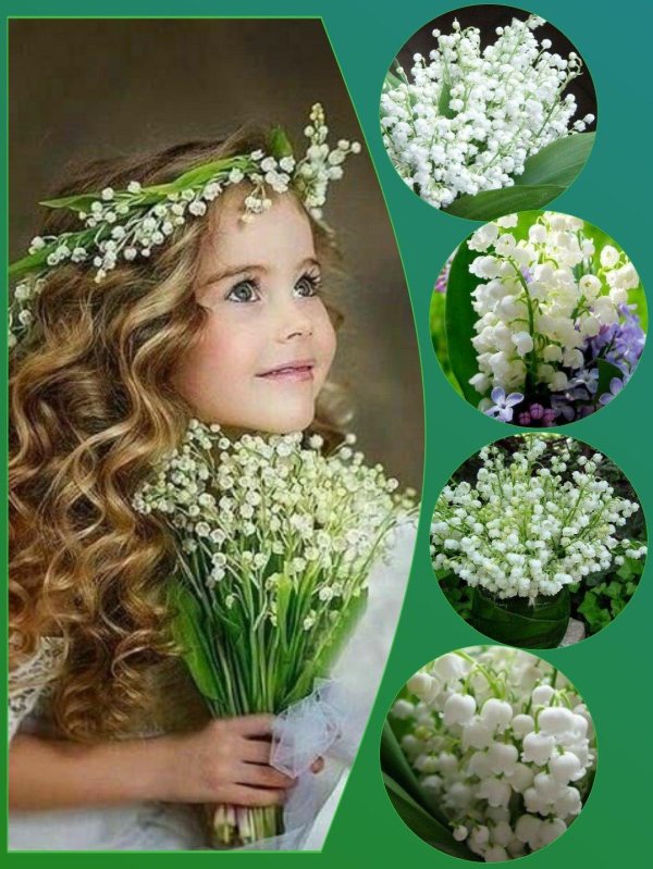 цветок ландыш